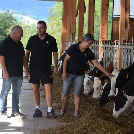 Authentique Avec Animaux Acceptés - 8 Pers. - Fr-1-496-404 *