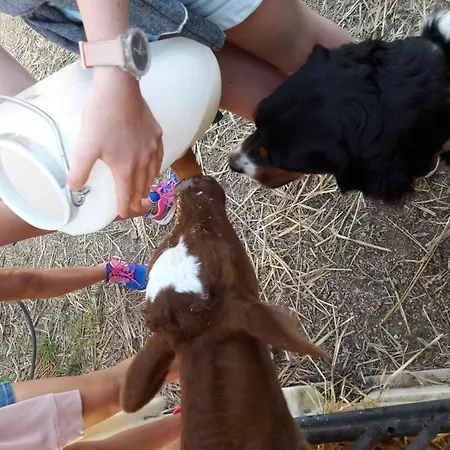 Authentique Avec Animaux Acceptes - 8 Pers. - Fr-1-496-404 Saint-Julien-la-Vetre